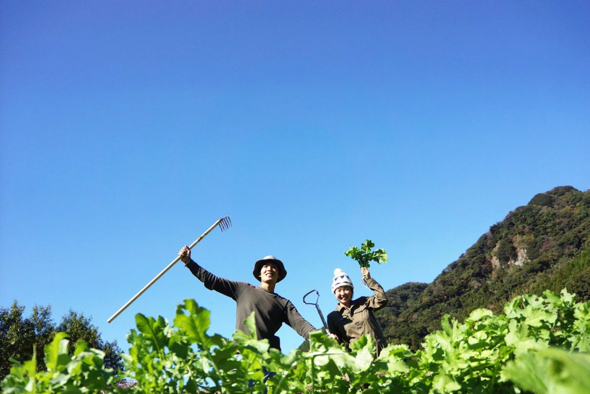 自然農園 日本晴は2015年から営む無農薬・無肥料の野菜を栽培する農家さん。
